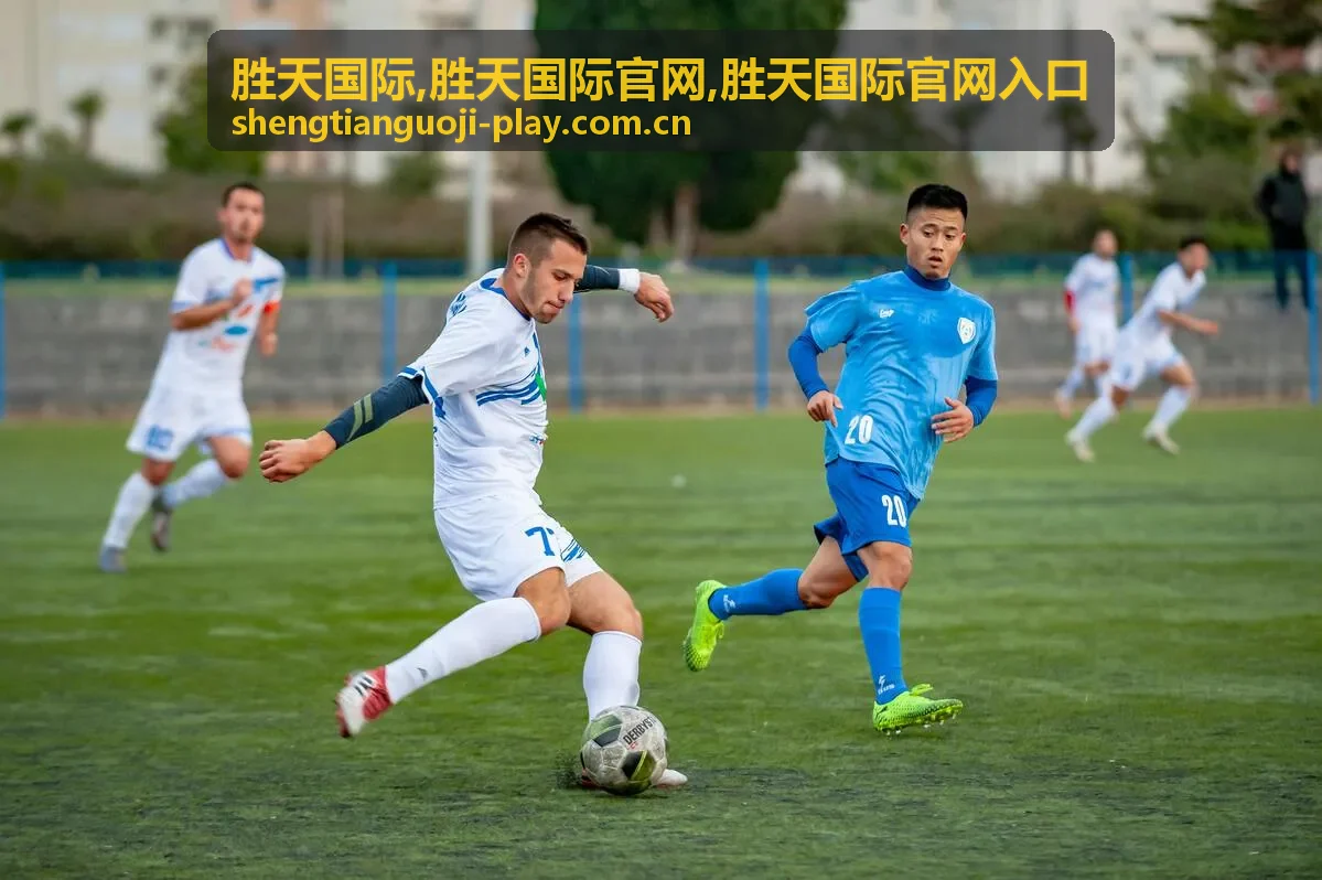 胜天国际官网服务指南封面